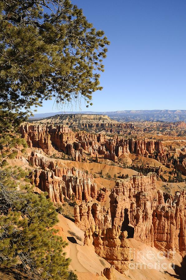 Bryce Canyon #47 Photograph by Marc Bittan