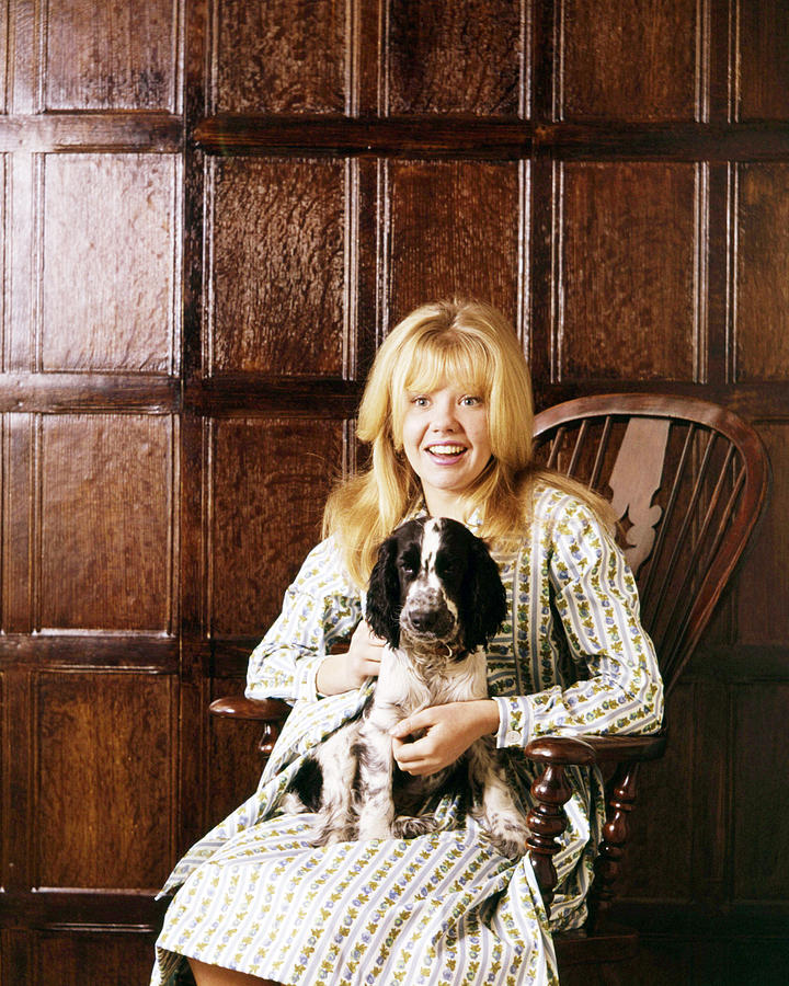Hayley Mills #47 Photograph by Silver Screen