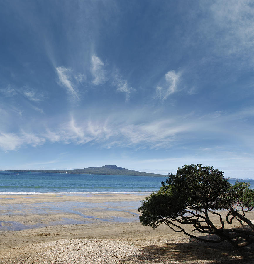 Summer Photograph - New Zealand #47 by Les Cunliffe
