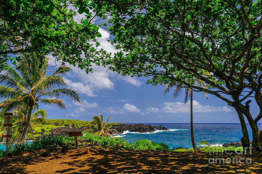Spectacular ocean view on the Road to Hana Maui Hawaii USA #47 Photograph by Don Landwehrle