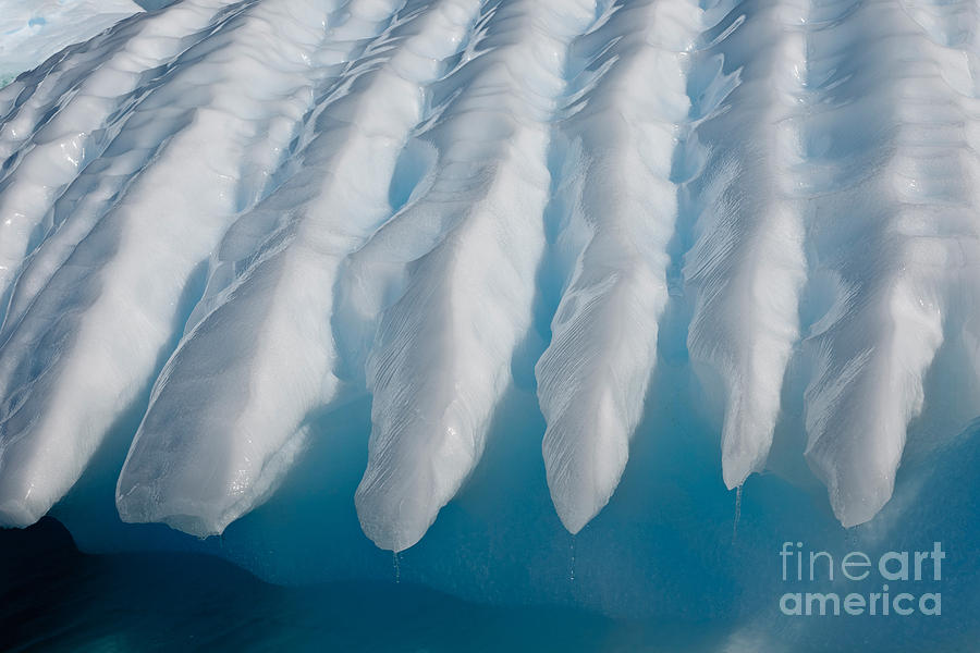 Iceberg, Antarctica #50 Photograph by John Shaw