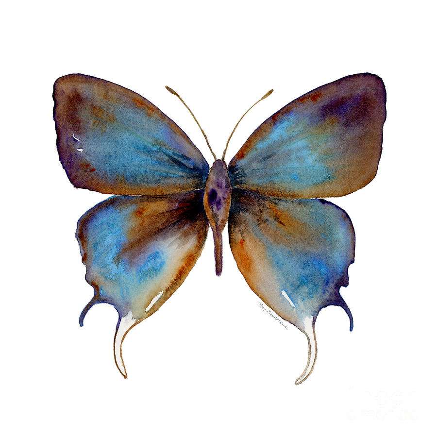 48 Manto Hypoleuca Butterfly Painting by Amy Kirkpatrick