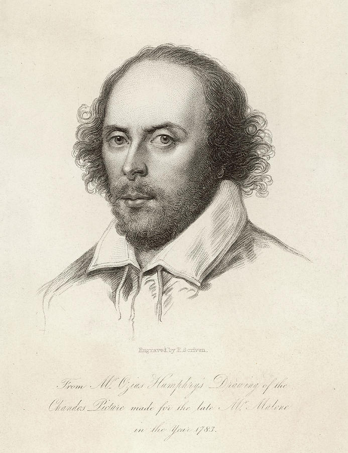 William Shakespeare (1564 - 1616) Drawing by Mary Evans Picture Library ...