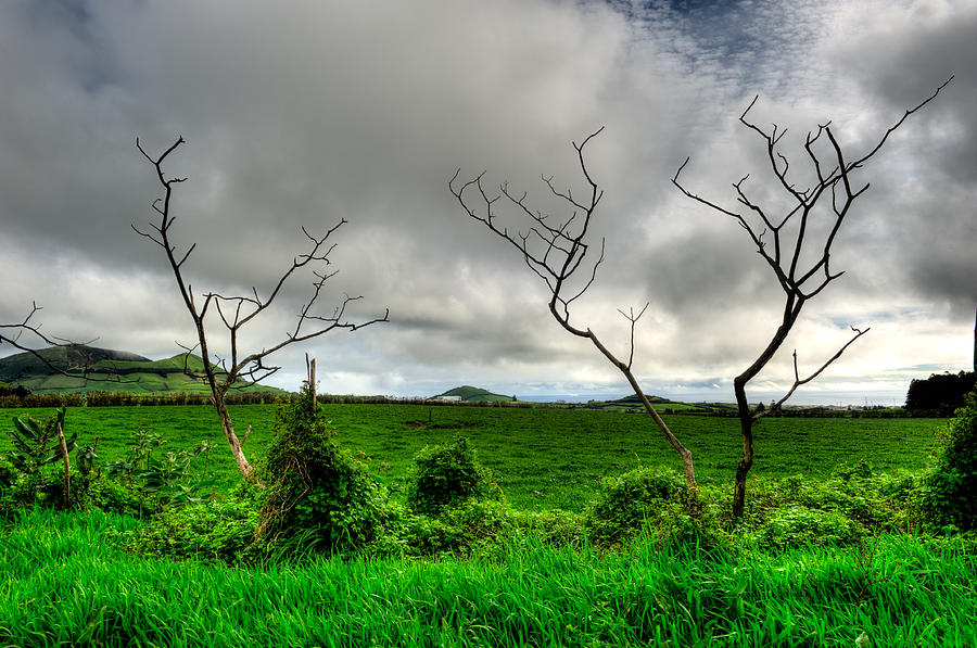 Azores Landscapes #49 Photograph by Joseph Amaral