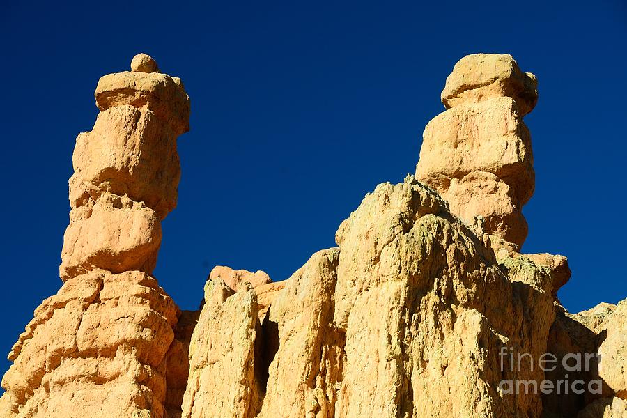 Bryce Canyon #49 Photograph by Marc Bittan
