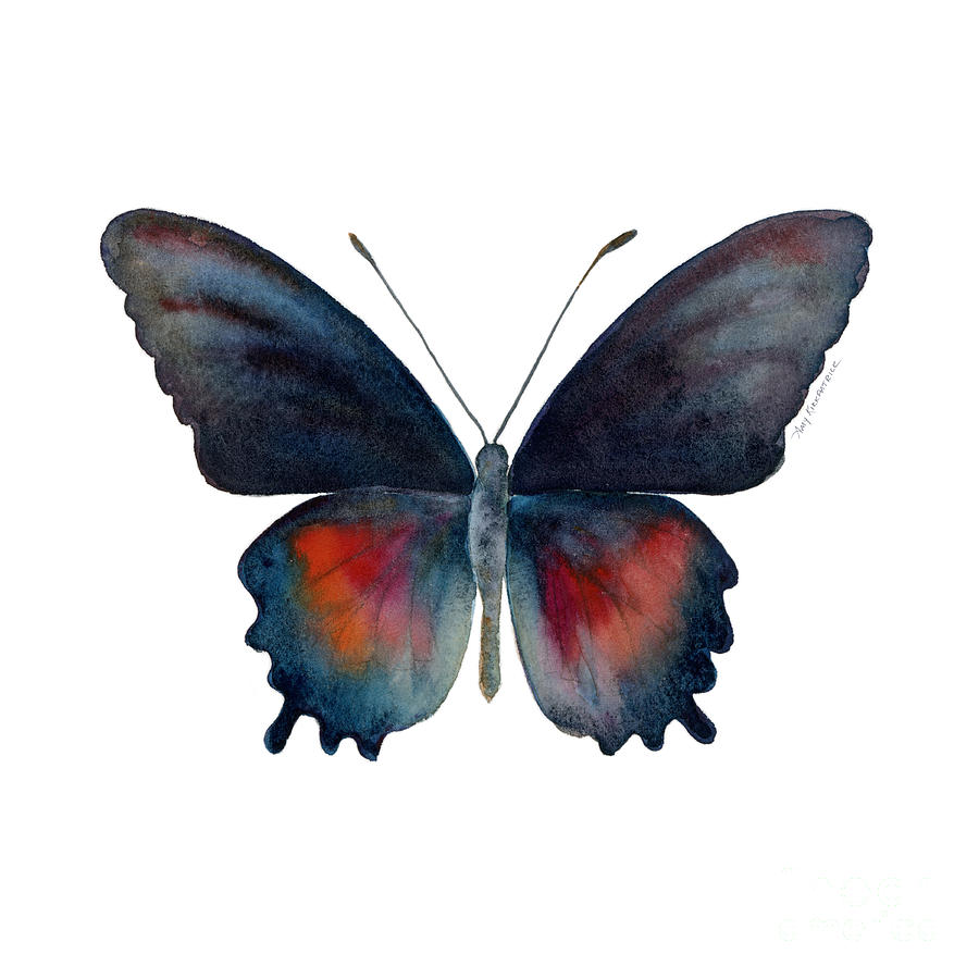 49 Parides Orellana Butterfly Painting by Amy Kirkpatrick 49 Parides Orellana Butterfly Painting by Amy Kirkpatrick