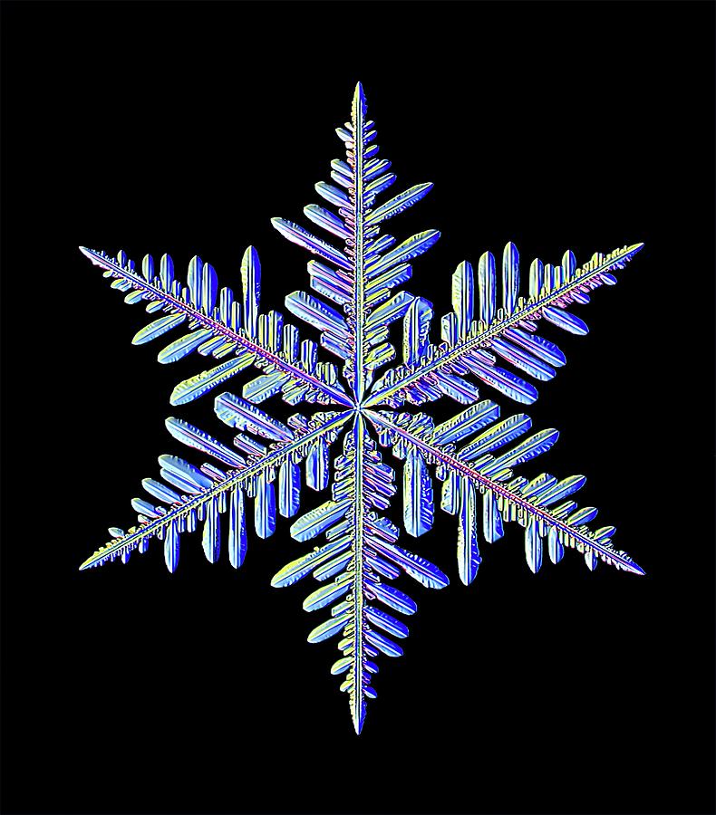Snowflake #49 Photograph by Kenneth Libbrecht