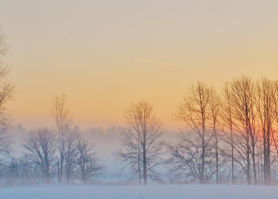 Winter Landscape Photograph