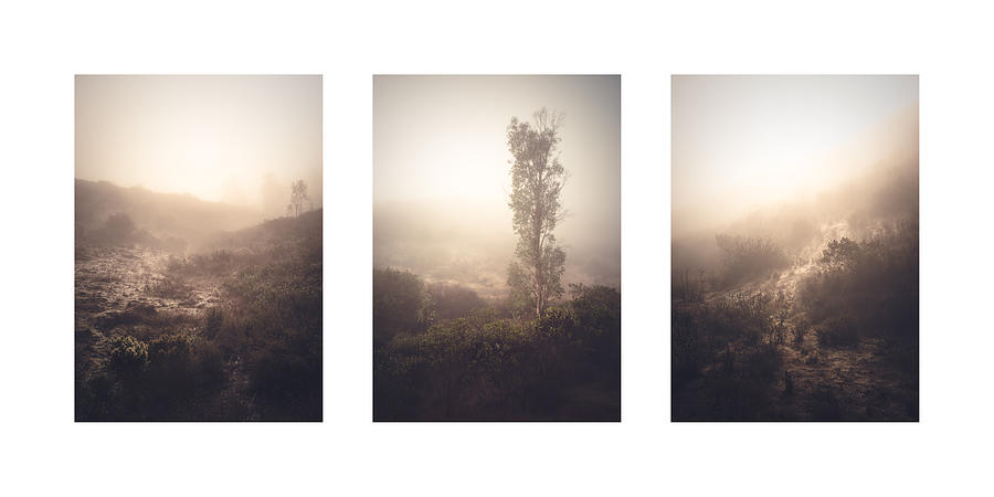 San Diego Photograph - 4S Ranch Fog Collage by Alexander Kunz
