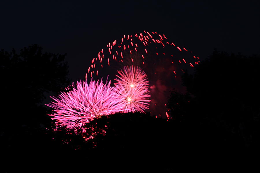 4th of July Fireworks - 011325 Photograph by DC Photographer
