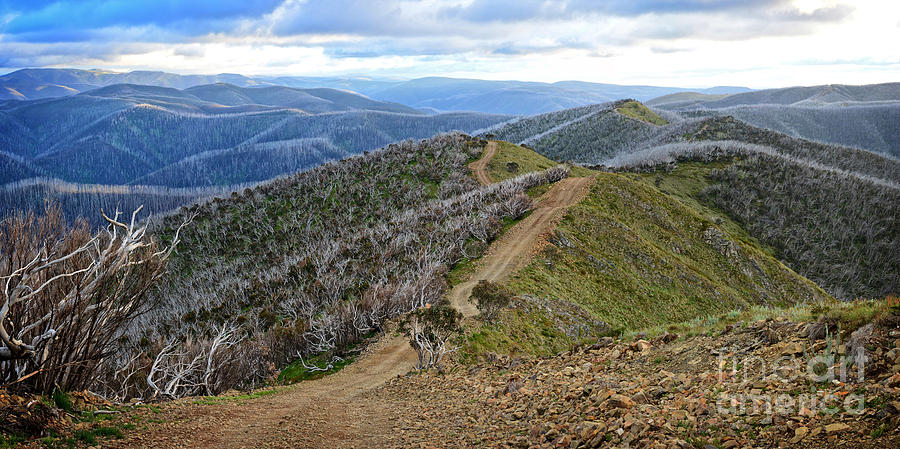 4WD Firetrail to Blue Rag Trig Station Photograph by Peter Kneen