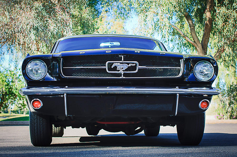 1965 Shelby Prototype Ford Mustang Photograph by Jill Reger