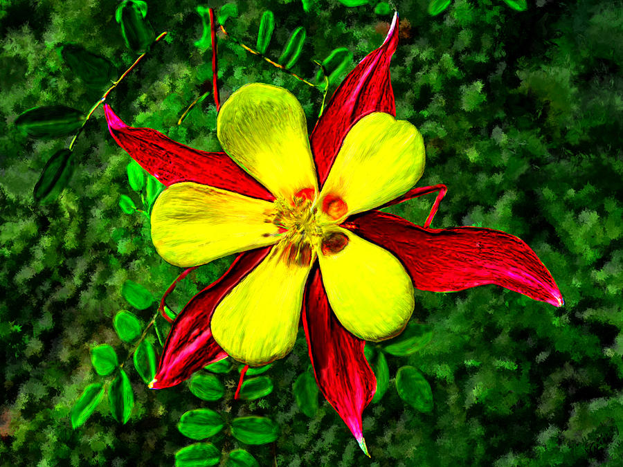 Beautiful Columbine #5 Painting by Bruce Nutting