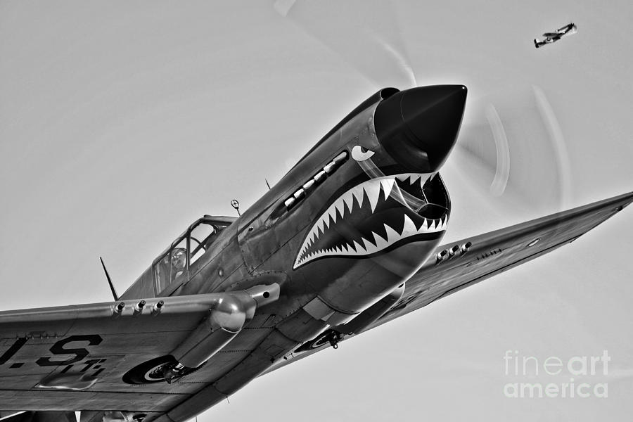 Black And White Photograph - A Curtiss P-40e Warhawk In Flight #5 by Scott Germain