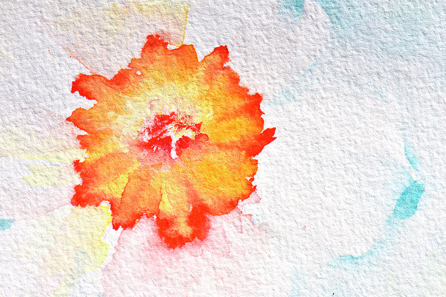 Abstract Watercolour Flowers Photograph by Kathy Collins