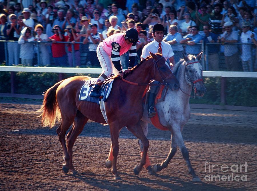 Affirmed #4 Photograph by Marc Bittan