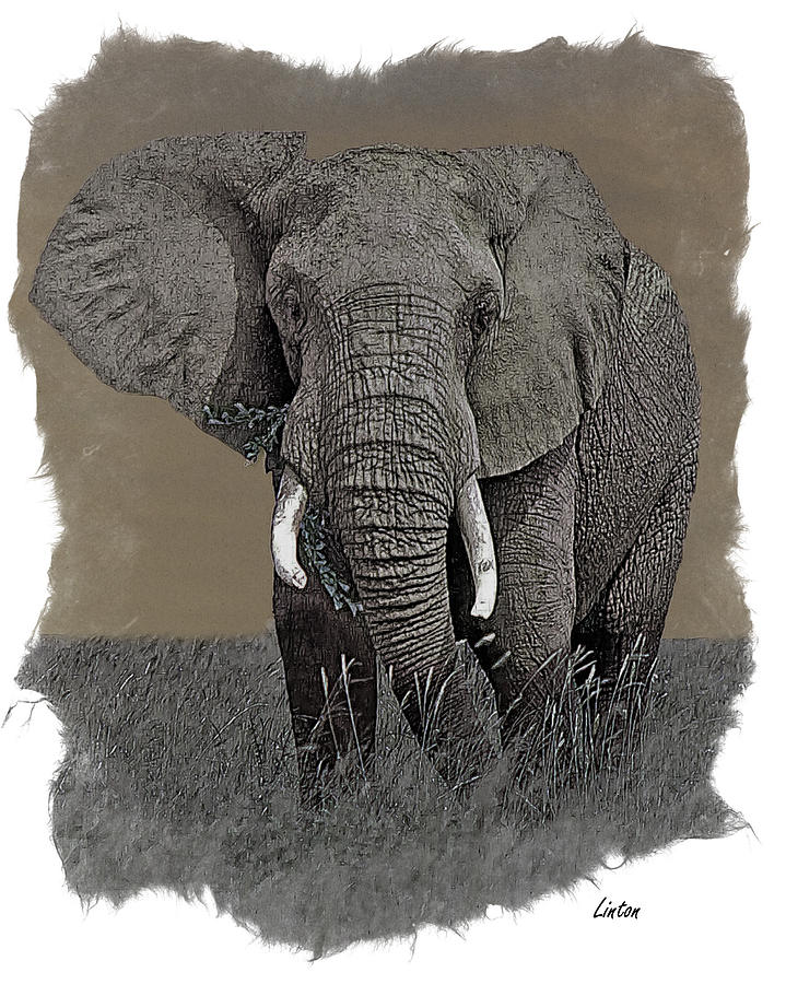 African Elephant #5 Digital Art by Larry Linton
