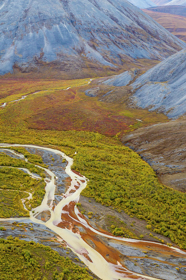 Alaska Brooks Range Arctic National Photograph By Jaynes Gallery   5 Alaska Brooks Range Arctic National Jaynes Gallery 