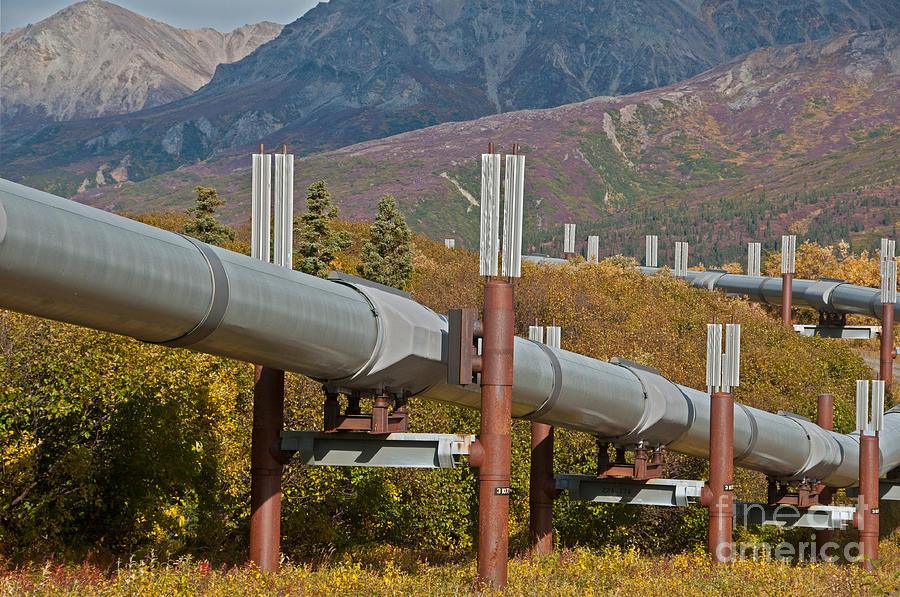 Alaska Oil Pipeline #5 Photograph by Mark Newman
