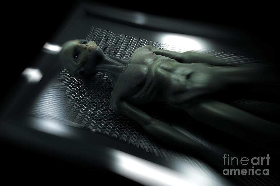 Alien Autopsy #5 Photograph by Science Picture Co
