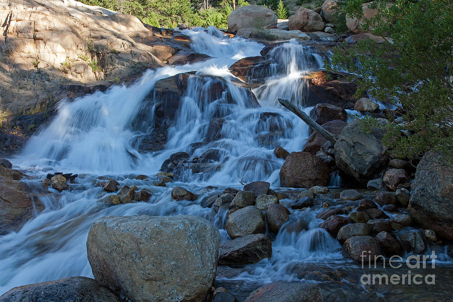 Alluvial Fan Falls on Roaring River in Rocky Mountain National Park #5 Photograph by Fred Stearns