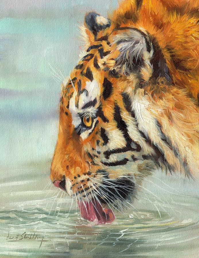 Amur Tiger #5 Painting by David Stribbling