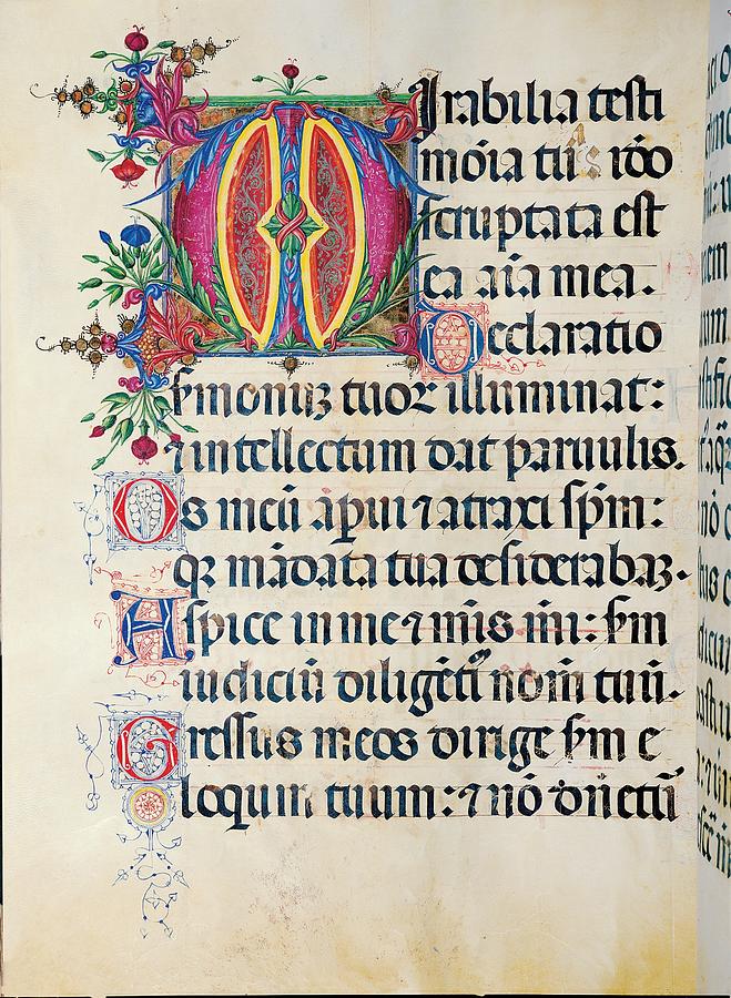 Anonymous Sienese Painter, Psalter #5 Photograph by Everett - Pixels