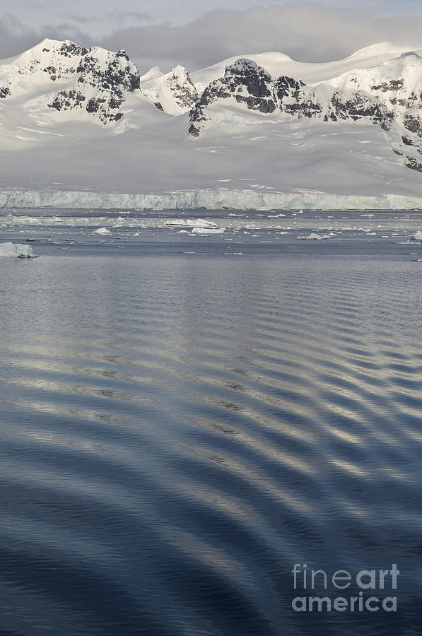 Antarctica #5 Photograph by John Shaw