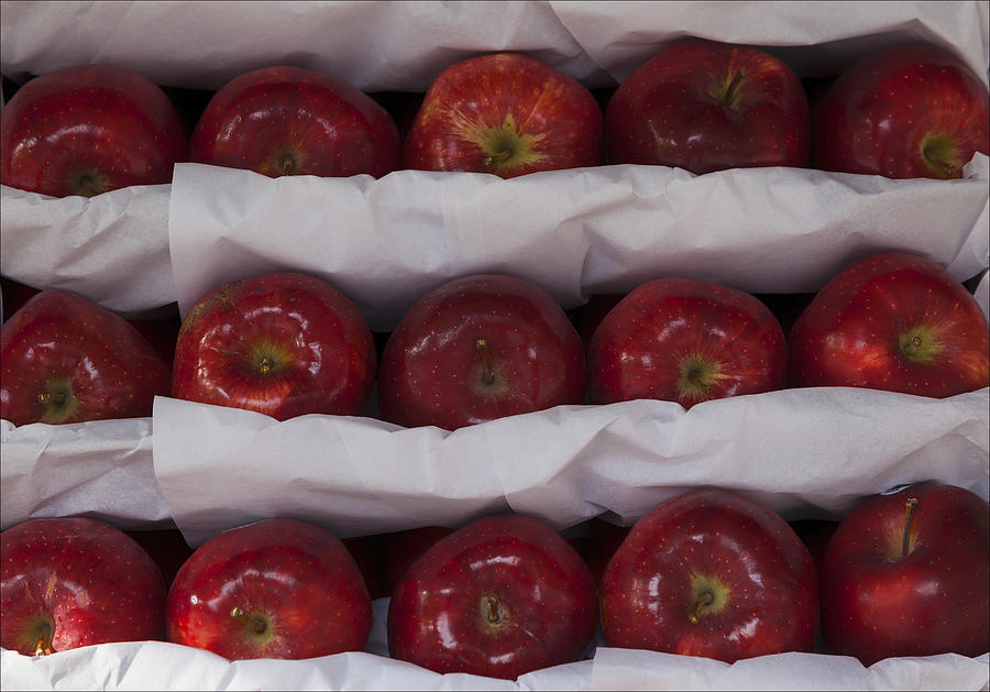 Apples #5 Photograph by Robert Ullmann