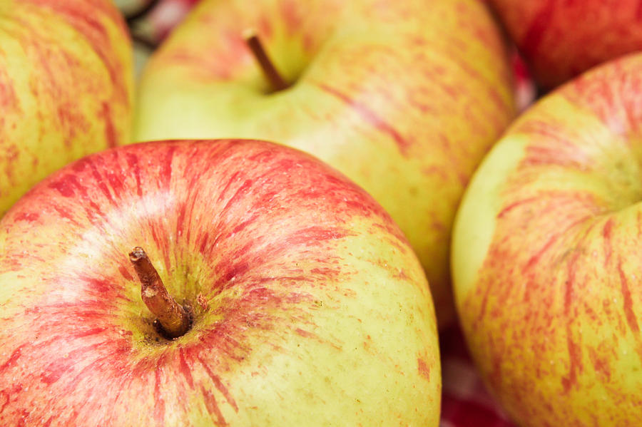 Apple Photograph - Apples #5 by Tom Gowanlock