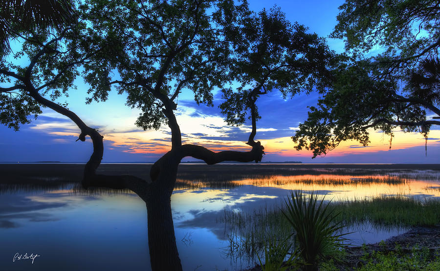 April Digital Art - April Morning by Phill Doherty April Digital Art - April Morning by Phill Doherty
