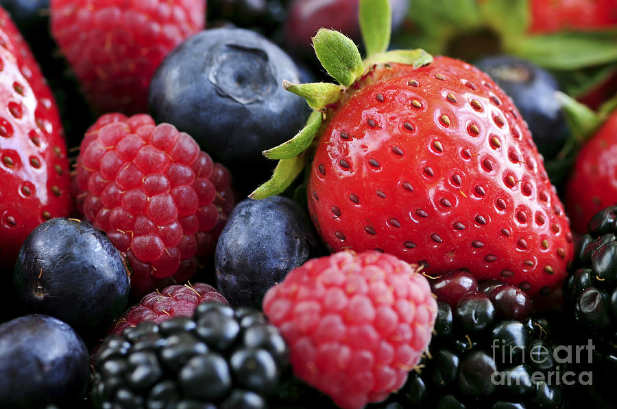 Strawberry Photograph - Assorted fresh berries 3 by Elena Elisseeva