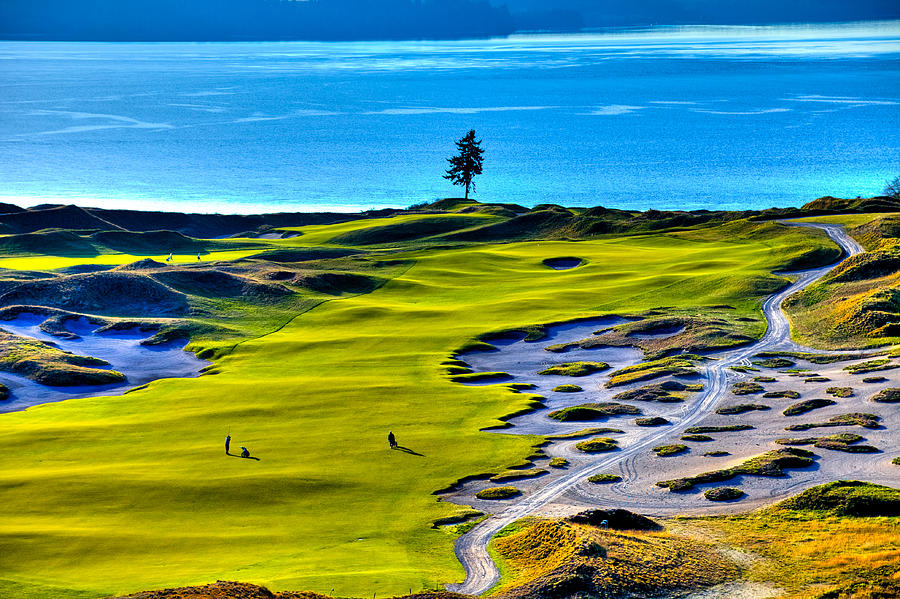 #5 at Chambers Bay Golf Course - Location of the 2015 U.S. Open Tournament Photograph by David Patterson