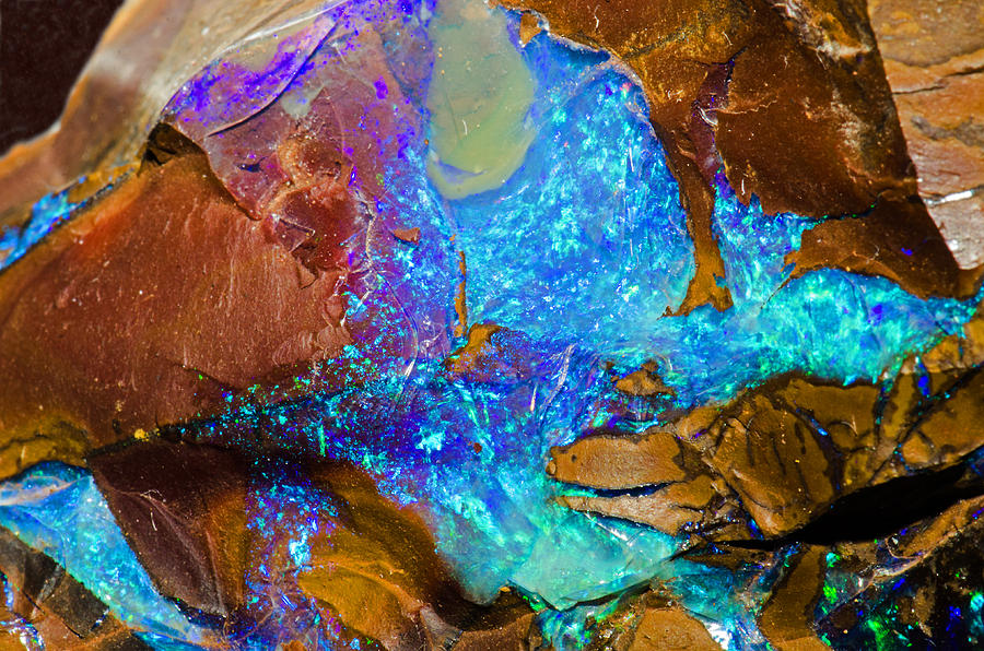 Australian Opal #1 Photograph by Millard H Sharp