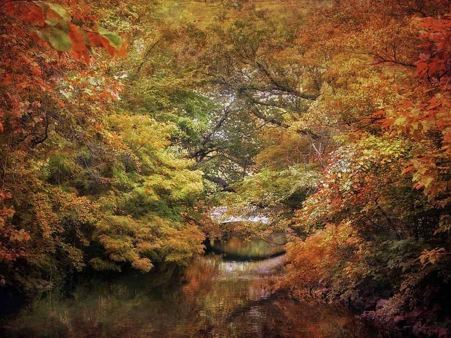 Autumn Canvas #5 Photograph by Jessica Jenney
