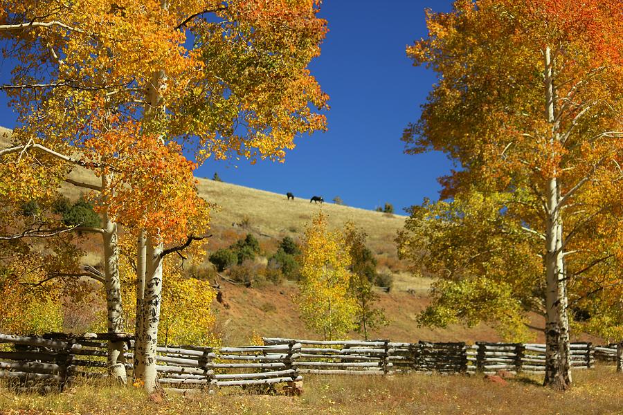 Autumn Cedar Mountain Utah #5 Photograph by Douglas Miller