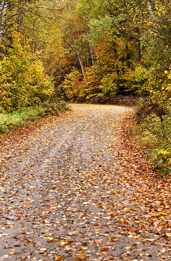 Autumn Colors and road  #5 Photograph by Mark Duffy