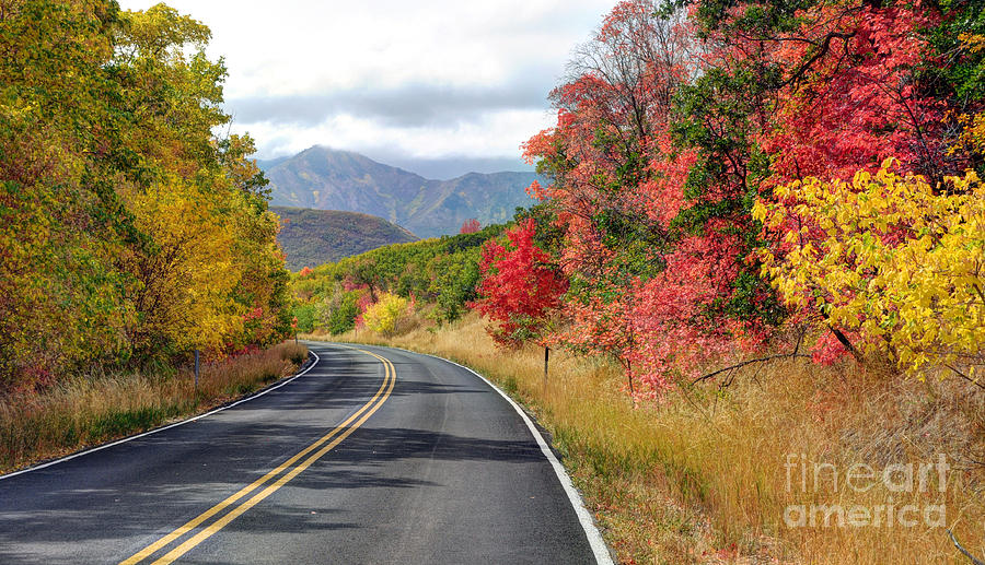 Autumn Drive Through East Canyon - Utah Photograph