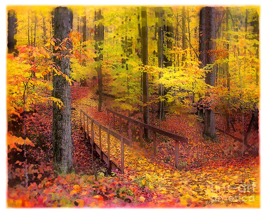 Autumn footbridge #5 Photograph by Gina Signore