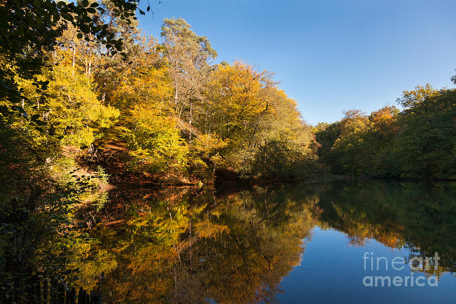 Autumn Trees Reflected In Still Lake #5 Photograph by Peter Noyce