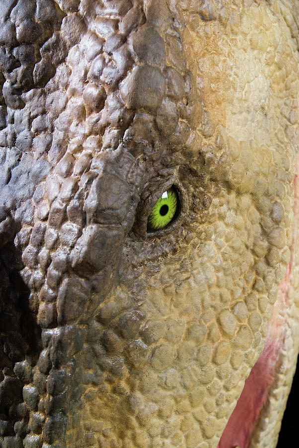 natural history museum baryonyx