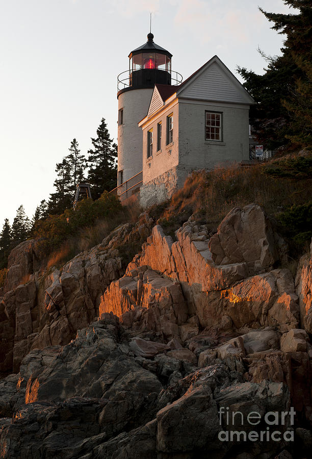 Bass Harbor Head Lighthouse Photograph By John Shaw Fine Art America