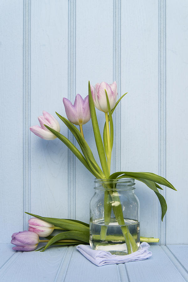 Spring Photograph - Beautiful Spring flower still life with wooden background and ho #5 by Matthew Gibson