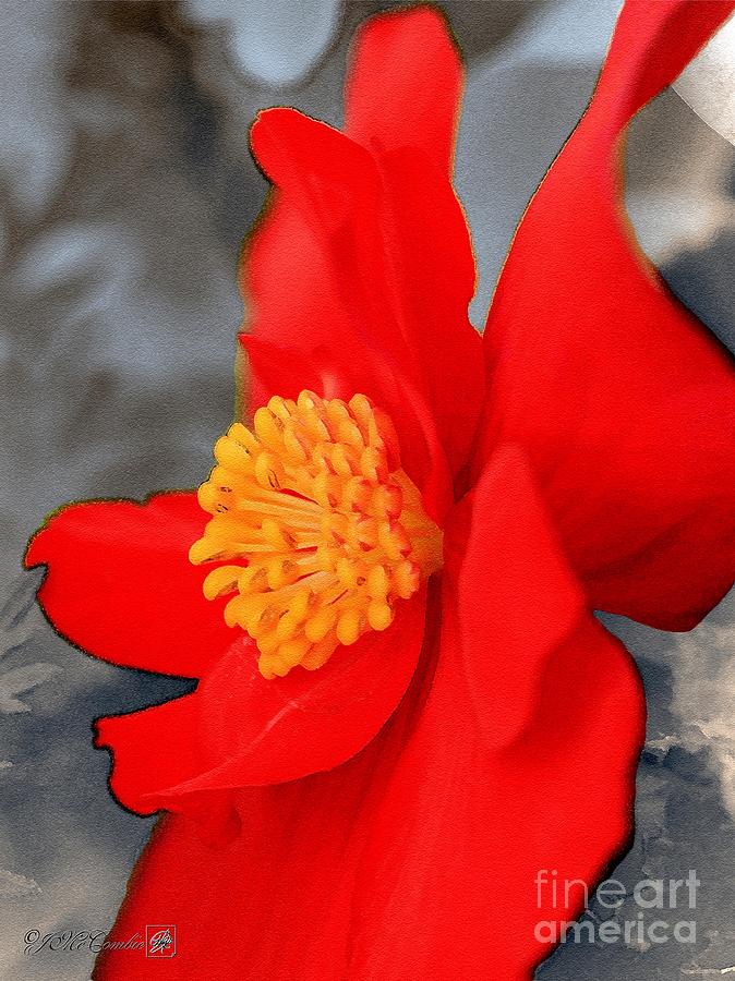 Begonia named Nonstop Mocca Scarlet #5 Painting by J McCombie