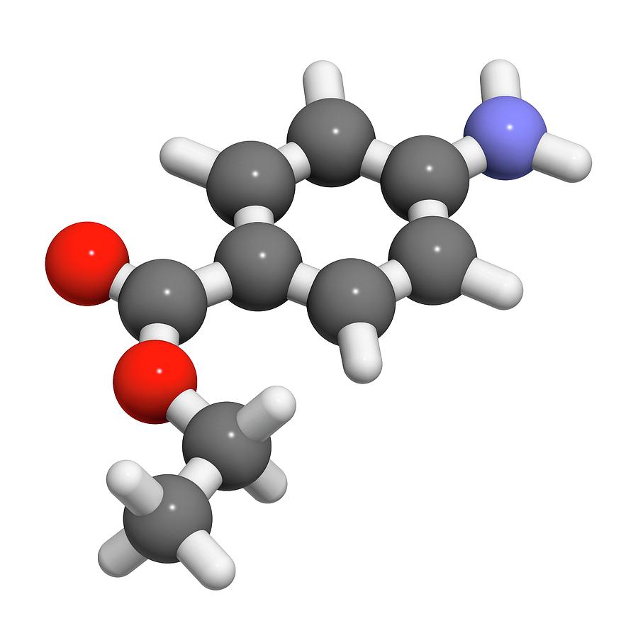 Benzocaine Local Anesthetic Drug Molecule Photograph by Molekuul - Fine ...