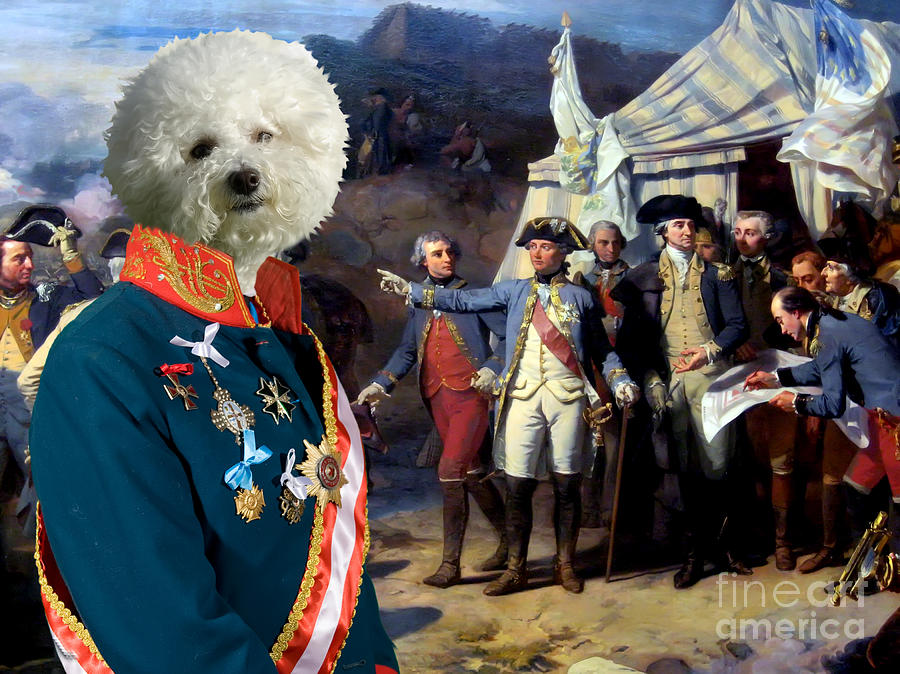 Bichon Frise Art Canvas Print #4 Painting by Sandra Sij - Fine Art America