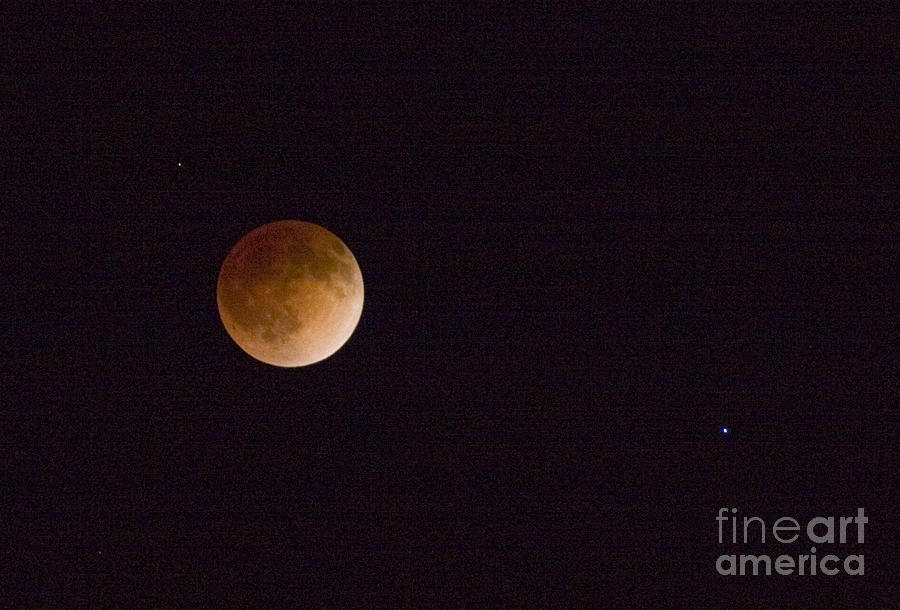Blood Moon #5 Photograph by Steven Krull