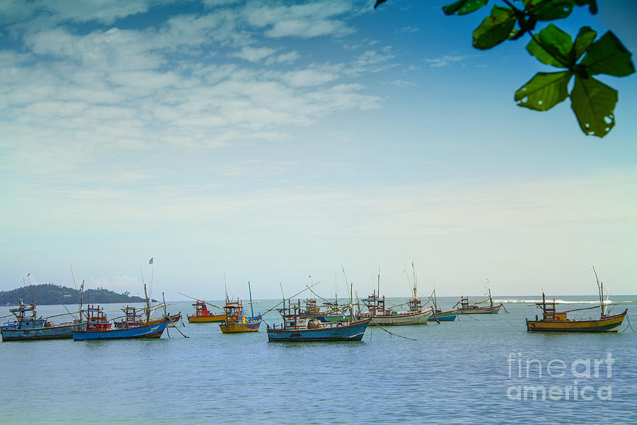 boats in the harbour of Mirissa on the tropical island of Sri Lanka #5 Photograph by Gina Koch