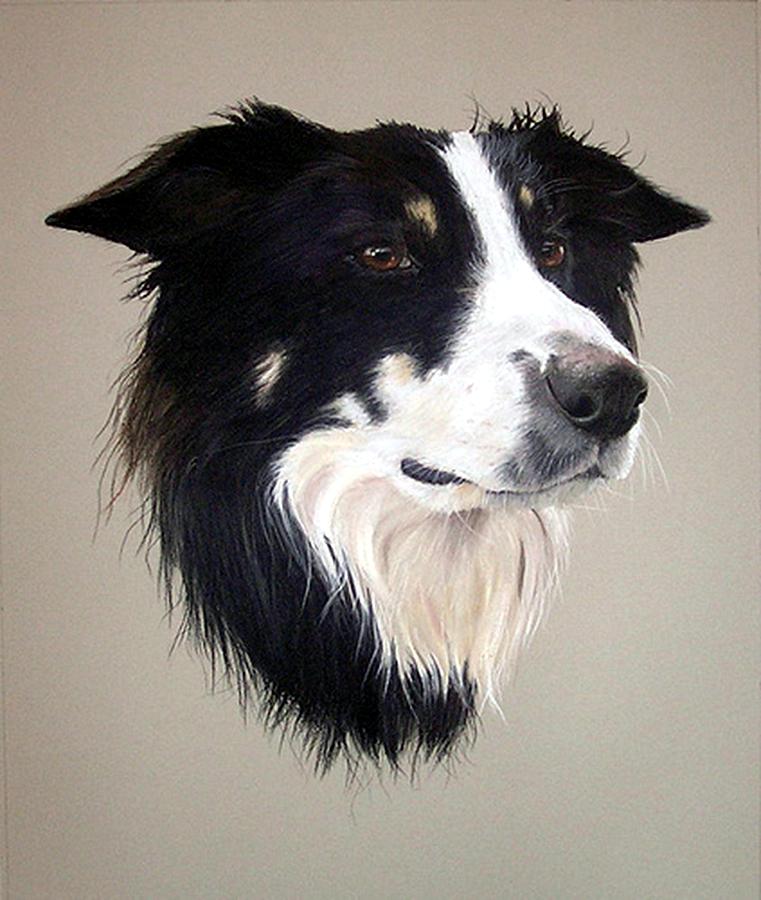 Border Collie Dog Portrait #5 Painting by Olde Time  Mercantile