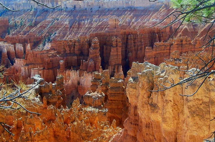 Bryce Canyon #5 Photograph by Douglas Miller